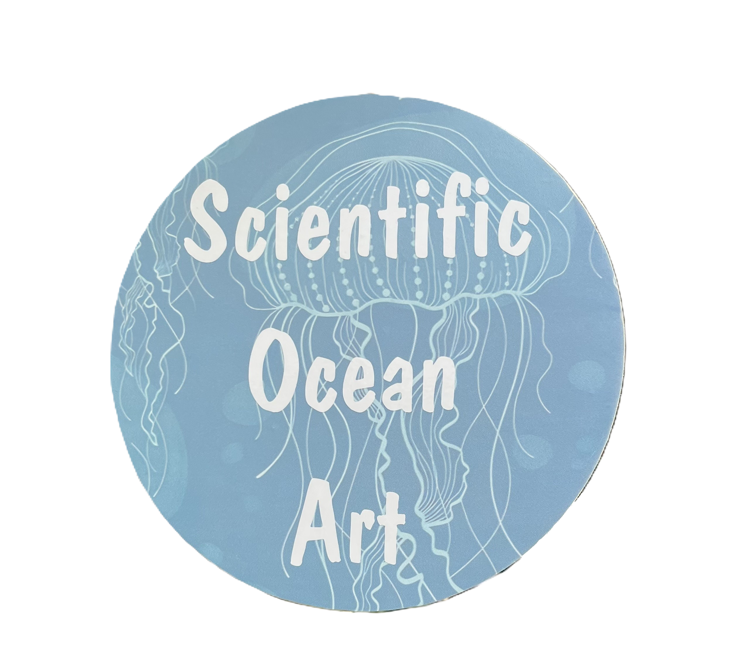 Shark Collection – Scientific Ocean Art
