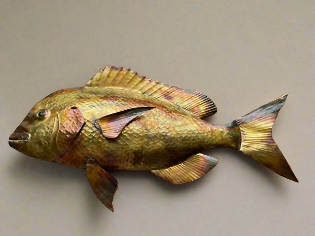 Snapper Copper Wall Art NZ