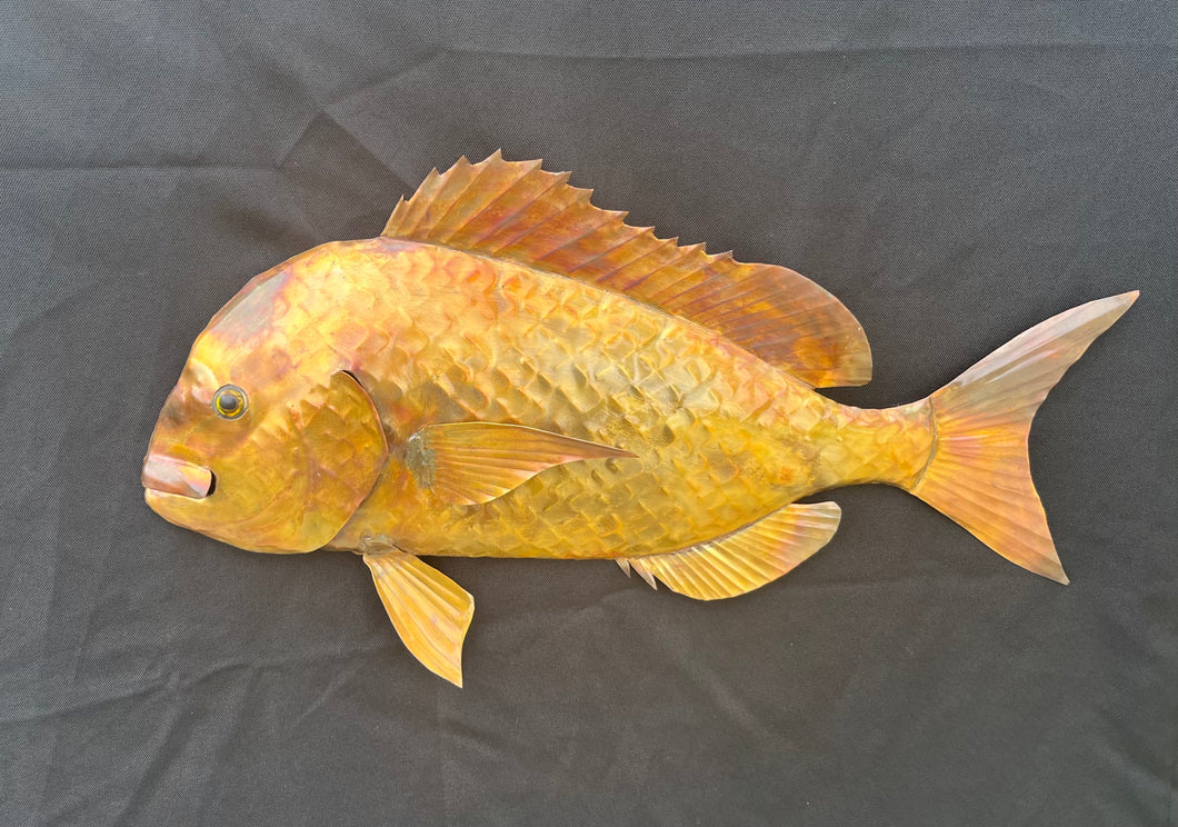 Snapper Copper Wall Art