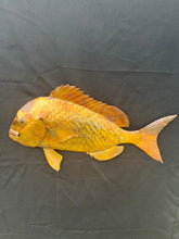 Load image into Gallery viewer, Snapper Copper Wall Art
