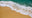 Scientific Ocean Art logo